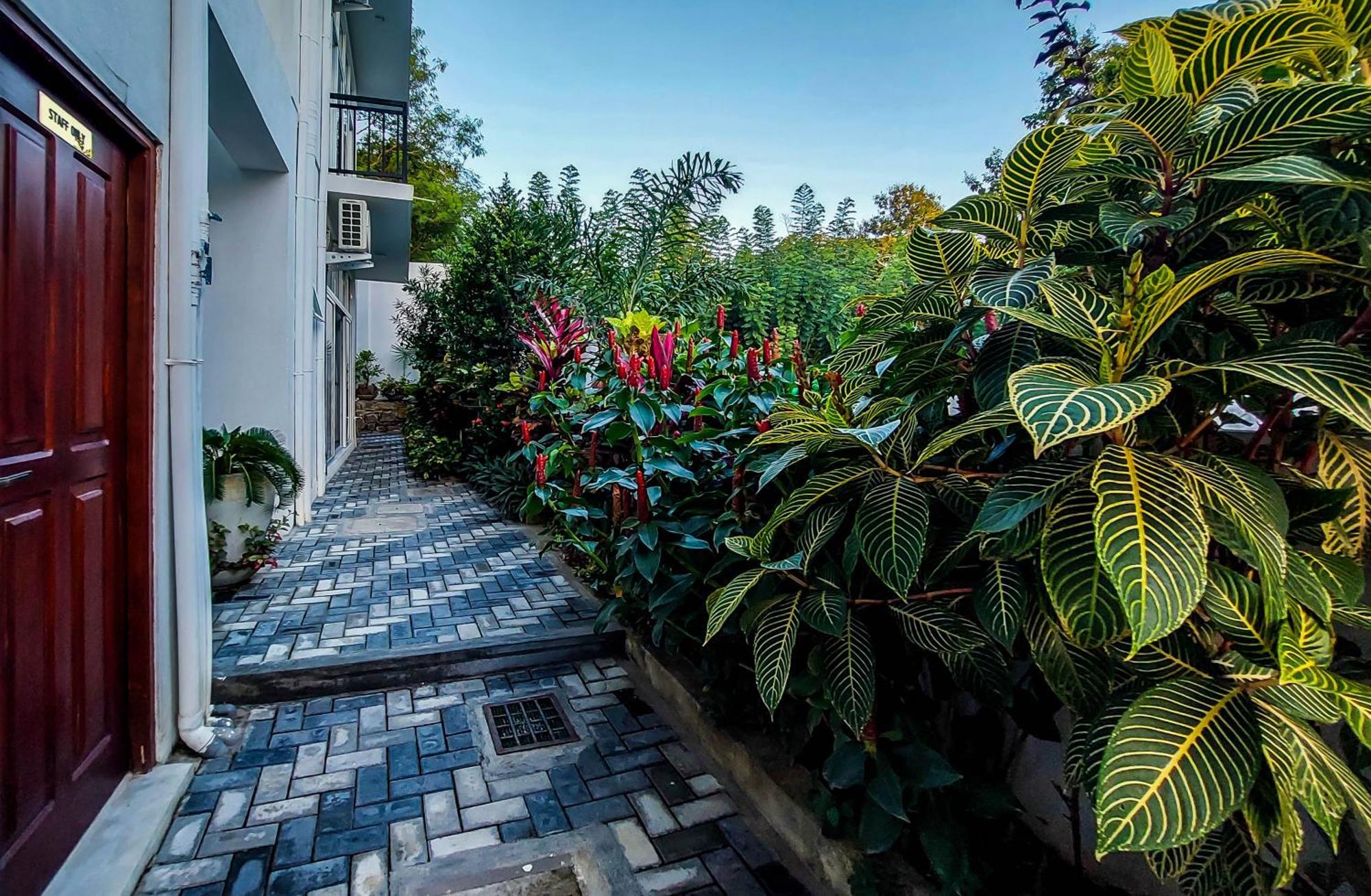 Zodiak Hotel Tangalle Buitenkant foto